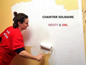 Une partenaire qui repeint un logement.